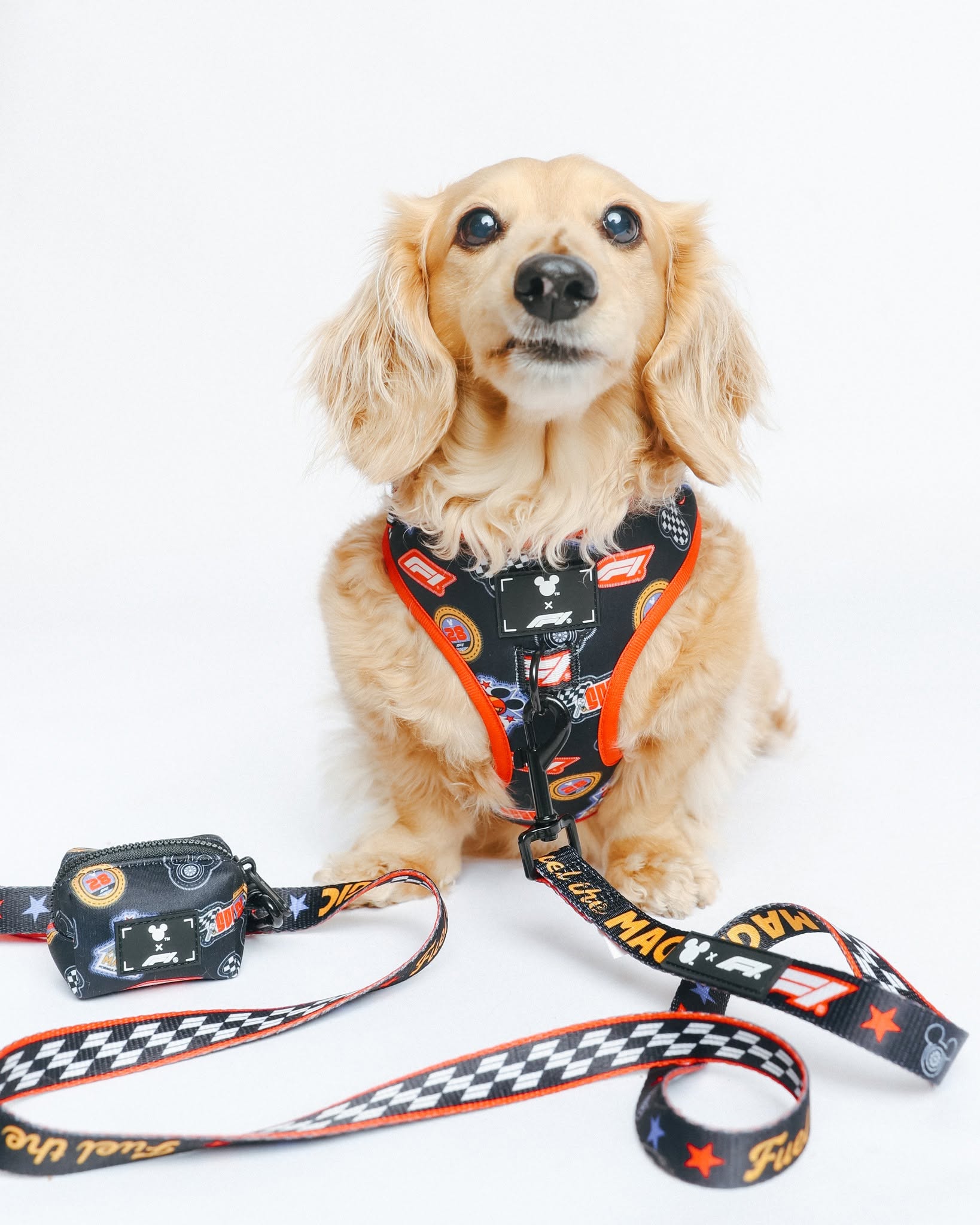New Drops Coming 🤩

The latest Disney x F1 is landing ahead of the Canadian Grand Prix, and we’ve got everyone covered… 🐶

Check out the range online at the F1 Store, or in Montreal at the F1 Hub on De La Montagne Street and trackside during the race weekend.