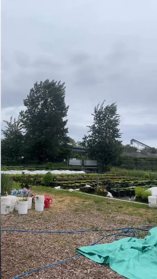 I was worried about food prices so I signed up for a CSA box to lock in a share of the farm and it feels so utopian and solarpunk if I’m being honest @fedurbanag