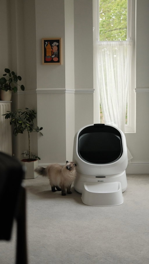 In a multi-cat home, every litter box visit tells a different story 🐈🐈‍⬛🐈

The feature we’ve found most useful in the @petlibro Luma Smart Litter Box is multi-cat recognition. It identifies whether it was Cakie or Puffy, tracks each visit by name, uses AI to recognise №1 and №2, and helps us better understand their bathroom habits over time.

With 4-layer safety protection and built-in air purification, it offers a small but reassuring way to keep an eye on their health while helping our home feel fresh 🌷

Check the link in our bio and use CAKIE15 for 15% off to share the joy of living with your cats with a little more peace of mind🤍

Ad | #petlibro #LumaSmartLitterBox #catsathome #cattech #catlover