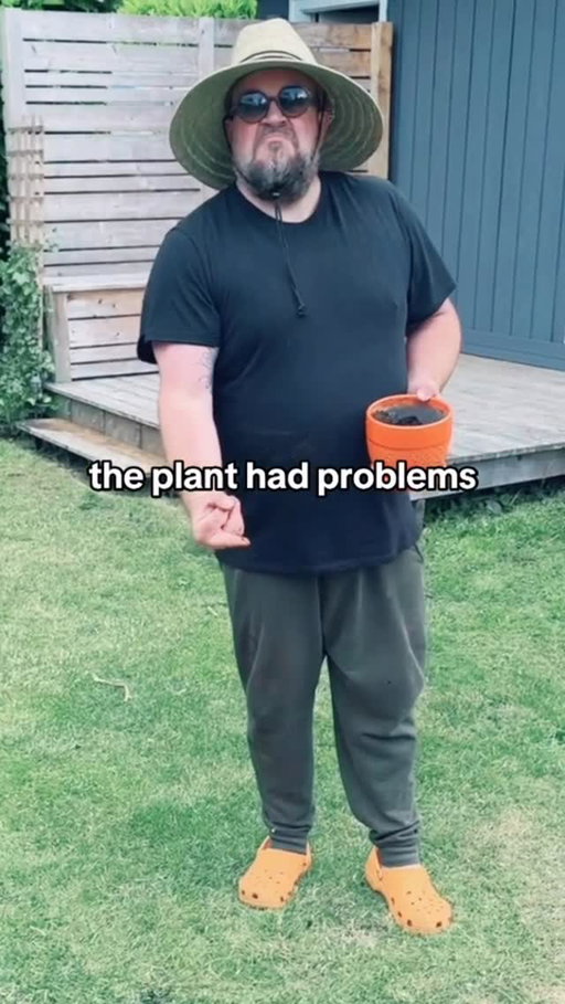 Move over Martha, there’s a new gardener in town