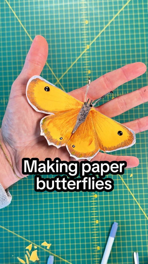 Who will claim the crown for #BritainsFavouriteButterfly? Tell @savebutterflies who you’re championing over at britainsfavouritebutterfly.co.uk