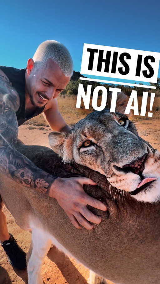 Tag someone that must see👀 this Video!🎥
•
For more context: To be able to create a stronger bond with the rest of the lion pride, King Leo👑 was separated from the Ladies for a couple of weeks. This gave him time to bond especially with Snow (His main rival) through the fence.🤝We roatate the Lions🦁 on a regular basis until the relationships are overall stable enough to put them all together again. 🙌🏼❤️ Stay Tuned!🔥
•
#deanschneider #hakunamipaka #wildanimals