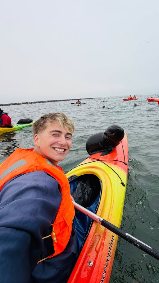 This is the best place on Earth to kayak with seals🥹🦭

Book with @ecomarinekayak for the best tour!

#namibia #seals #sealife #namibiatravel #travelexperiences