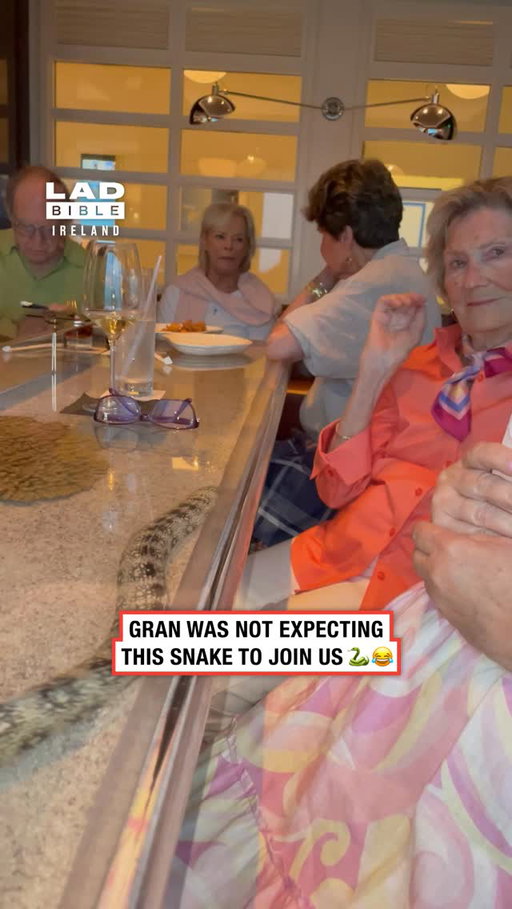 Nearly scared the poor woman to death 😂⁠
⁠
🎥 AFV⁠
⁠
#Ireland #irish #trending #irishhumour #irishgrandparents