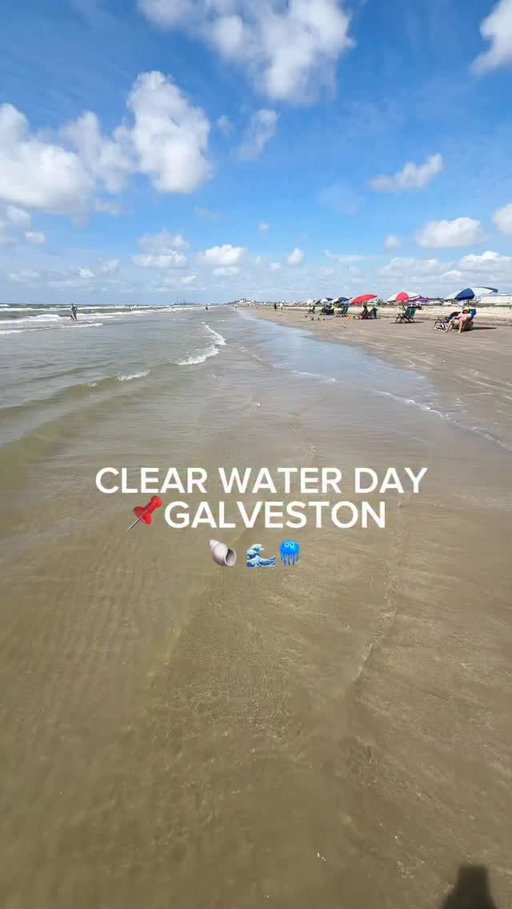 Clear water today in Galveston!! 🌊 We spent the day at Stewart Beach and it was so perfect! (Too perfect, my expectations are high now 😂) Its in the 80’s with a breeze, water is a good temp and nice and clear!

Also I love that this beach is shallow SO far out, so you’re not worrying about the kids getting into deep water. Plus they have a food truck, snow cone guy, and bathrooms in trailers. If you got to the jellyfish part of the video, yes we saw one lol but only one! 🤷🏻‍♀️ 

Have you seen Galveston on a clear water day?!

#galveston #houston #galvestonbeach #texasbeach #houstonblogger