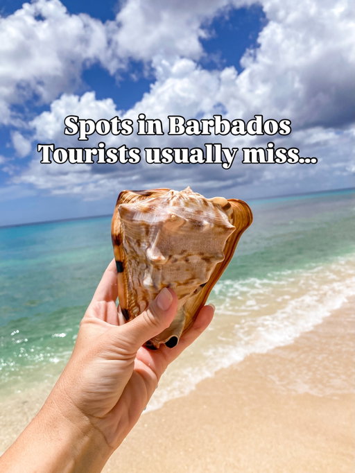 I lived in Barbados for 3 years — and these are the places most tourists completely miss 🇧🇧👇

When people think of Barbados, they usually picture resorts and beaches.

But the island is SO much more than that.

Some of our favorite memories are exploring the wild east coast, hidden hikes, caves, historic sites, and places we never would’ve found on a typical vacation itinerary.

Here are a few spots that deserve way more attention:

📍 Elephant Trunk
One of the coolest rock formations on the island — especially at sunrise.

📍 Changing of the Sentry
A beautiful piece of Barbados history that many visitors never see, but happens weekly!

📍 Picture Hole Hike
One of the BEST hidden adventure spots on the island. A really fun East Coast hike.

📍 Morgan Lewis Windmill
A historic sugar windmill with sweeping east coast views.

📍 Shark Hole
Tiny hidden beach with calm water that feels completely tucked away.

📍 Welchman Hall Gully
Lush tropical walking trails where you can often spot monkeys and go zip lining 

📍 Bathsheba Sea Pools
Natural pools hidden along the rugged east coast with incredible views.

📍 HARP Gun
A fascinating Cold War-era site hidden in Barbados.

📍 Charles Fort
Historic military ruins overlooking Carlisle Bay with incredible ocean views.

📍 Coles Cave
A rugged underground cave system most travelers never even hear about.

Barbados is one of those places that gets better the MORE you explore it ❤️

Save this for your trip 🇧🇧

And comment “BIM” and I’ll send you all of my FREE Barbados travel guides — including hidden gems, family-friendly spots, beaches, hikes, restaurants, and itineraries 👇

#visitbarbados #barbadoslife #barbadosholiday #barbadostoday #bajan