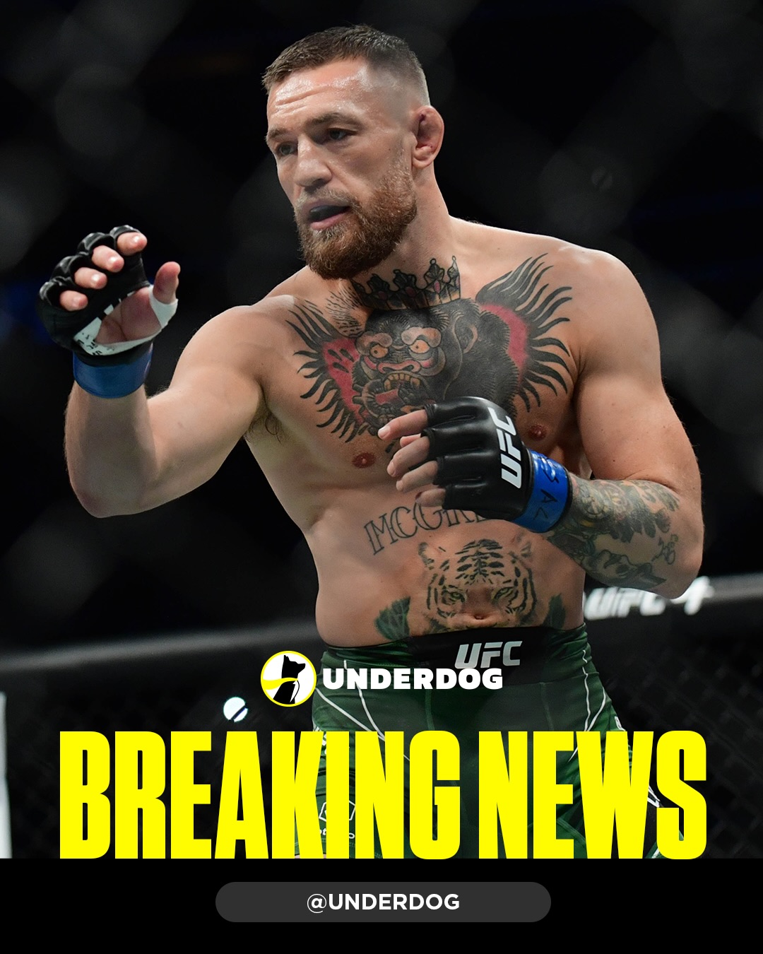Conor McGregor is finalizing deal to fight Max Holloway at UFC 329