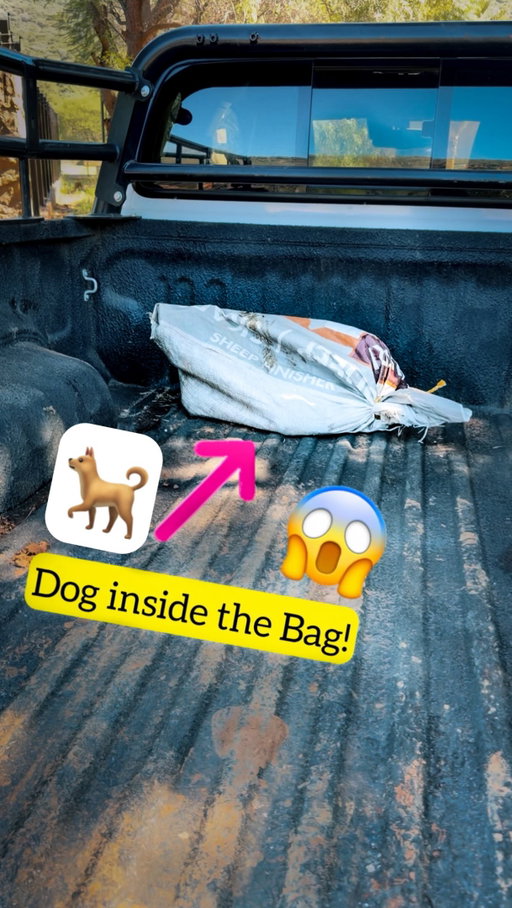 How should we Name him❓ Comment below👇🏼👀
•
It‘s disturbing to see how evil, careless & abusive we humans can be. 😞 Especially towards those who are weaker than us and can‘t protect themselves.😓 Living out here in the wilderness of a country🇿🇦 that battles poverty, unemployment and a huge political crisis i get to see👀 and experience a lot of things that are hard to digest🤯 and often there‘s nothing i can do about it but in situations where our actions can save someones life or at least have a significant positive impact we have to act!👊🏼💪🏼🦁
•
Big Ups to🏆 @_noeh_ for not looking away but getting in action💪🏼🔥
•
#deanschneider #hakunamipaka #dogrescues