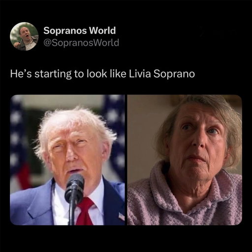 I wish congress would take me now 🇺🇸

#trending #memes #trump #sopranos
