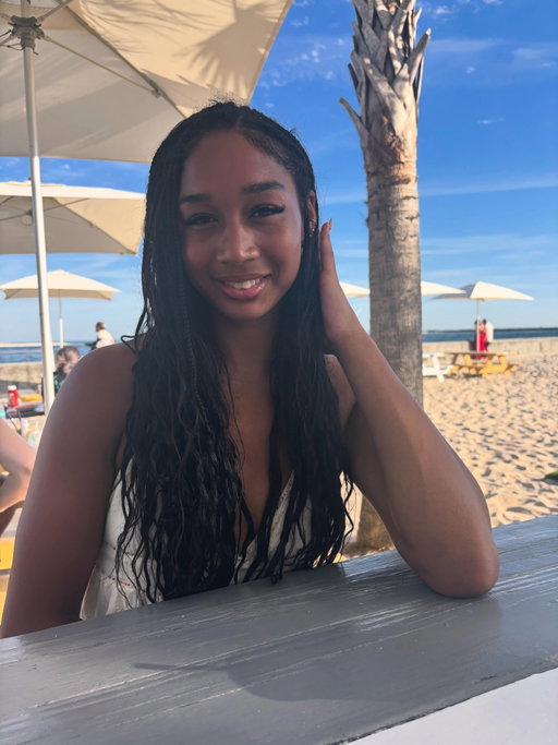 🏝️