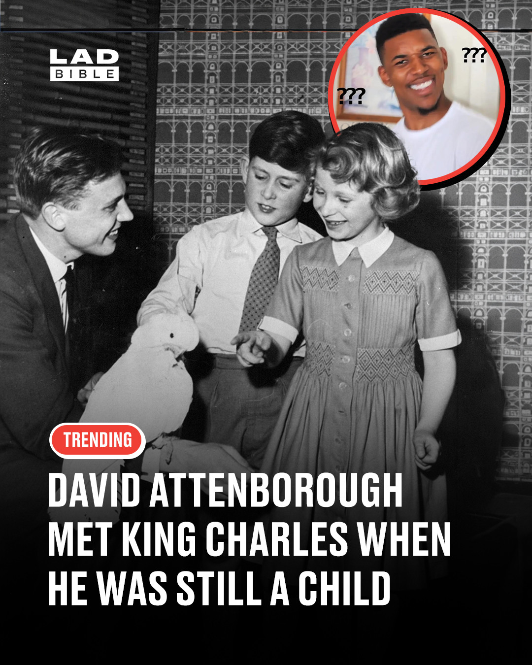 Honestly feels like David Attenborough has existed through every era at this point 😅⁠
⁠
A photo of Sir David Attenborough meeting King Charles as a child has gone viral online, and people can’t quite process how long both men have been in the public eye.⁠
⁠
The picture was taken back when Charles was still a young prince, decades before becoming King, while Attenborough was already building the legendary broadcasting career we know today.⁠
⁠
Now, with Attenborough at 99 and King Charles on the throne, the image feels like one massive reminder of just how much history these two have lived through.⁠
⁠
#attenborough #ladbible⁠