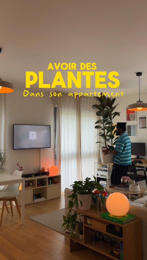 Les plantes changent vraiment toute l’ambiance d’un appart 🙂‍↕️
Bon…maintenant faut juste penser à les arroser 😅
Vous aussi vous oubliez d’arroser vos plantes ? 
#homedecor #plantes #plantdad #cozyhome #slowliving