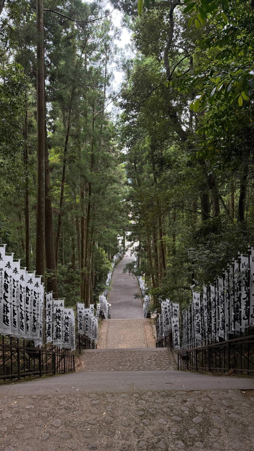 this is hands down one of the coolest things i’ve ever done 🇯🇵🏔️🌲

#japantravel #kumanokodo #outdoorsy #hikevlog #hikewithme