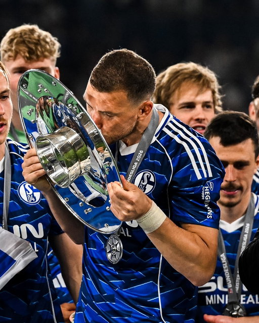 Born to win trophies. 🇧🇦👑

#Bundesliga2 | @EdinDzeko | @S04