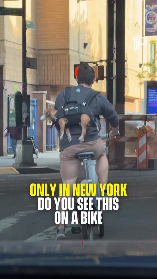 🐶

Dogs tend to feel significantly calmer when they’re physically close to their owners, something researchers call the “secure base effect.” New York City has over 600,000 registered dogs and apparently zero rules against carrying one in a backpack on a Citi Bike through Brooklyn traffic. This man found a solution and committed fully.

(Via Collab / @latropikitchen)

 #dogs #nyc #pubity