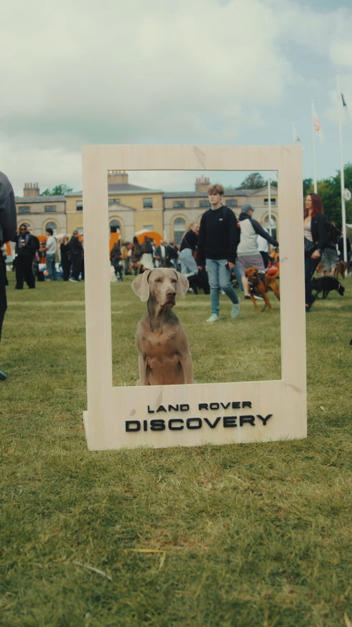 The Goodwoof diaries.

#Discovery

—

Models shown are Discovery and Discovery Sport with optional features and accessories. Availability/specification vary by market, check with your local retailer. Animal welfare maintained at all times.