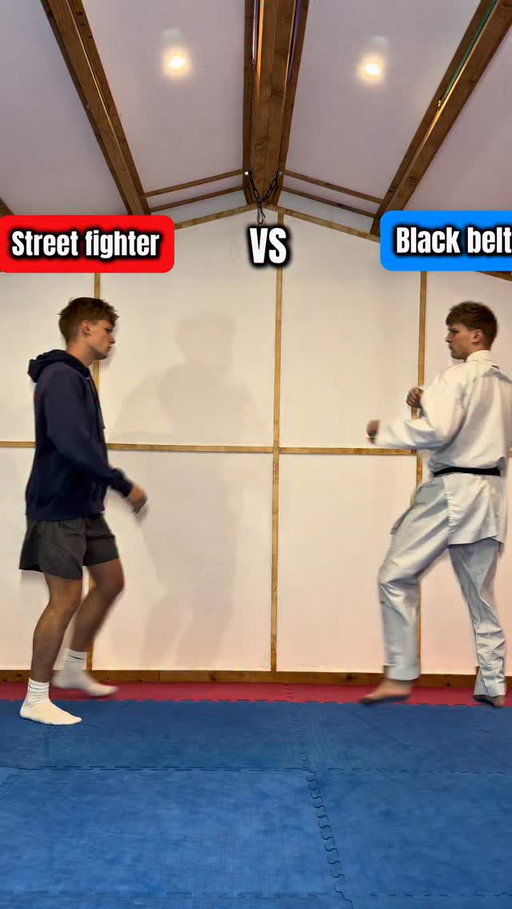 Street fight vs black belt…