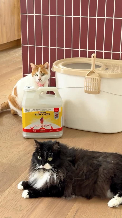 When you have cats, the Sunday Resets also include the litter box.😅🐱

Tidy Cats®️ LightWeight®️ makes it so much easier: 50% lighter to carry, barely any dust when you pour, tight clumps, and 21-day odour control. I love that it allows me to keep a fresh home, even with two little chaos agents living here.

They run the house... I just keep it tidy. 🏠✨

__

Quand on a des chats, le reset du dimanche inclut aussi la litière. 😅🐱

Tidy Cats(MD) LightWeight(MD) rend les choses tellement plus faciles: 50 % plus légère à transporter, presque aucune poussière lors du remplissage, des agglomérats bien compacts et un contrôle des odeurs pendant 21 jours. J’adore qu’elle me permette de garder une maison fraîche et propre, même avec deux petits agents du chaos qui vivent ici.

Ils dirigent la maison… moi, je fais juste garder ça en ordre. 🏠✨

#ad #tidycats #purinacanada @purinacanada