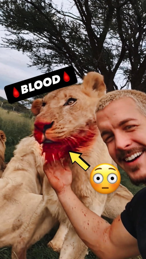 Best Caption winns🏆 a Videocall🎥 with me by the End of this week! 😝🤘🏼
•
Tag 2 Friends that need to see this 👀
•
#deanschneider #hakunamipaka #wildanimals