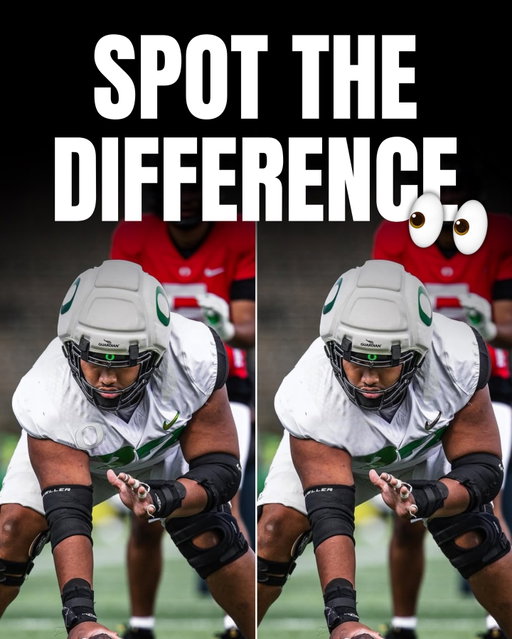 Can you spot the 4 differences in these photos 👀