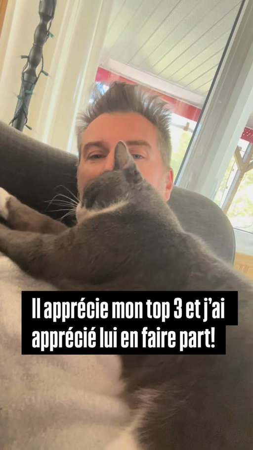 Dites-le-moi le si vous savez si y’en a d’autres? 😅 #pub #ChatRivéÀMesPropos