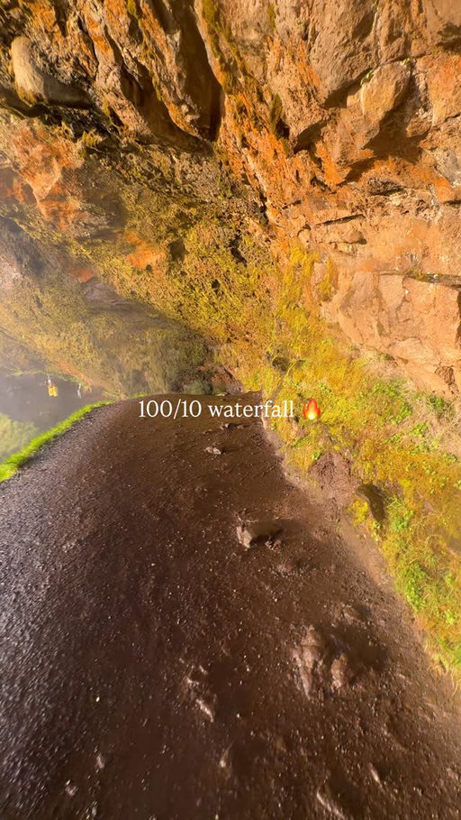 ✨ Follow @thewanderdiary 

Share this with someone who needs to see this waterfall in Iceland! 🇮🇸💦

Seljalandsfoss is one of those places that feels completely unreal in person. This massive waterfall drops from the cliffs along Iceland’s South Coast, but what makes it so special is that you can actually walk behind it and watch the water crash down right in front of you.

It is easily one of the most bucket list worthy waterfall experiences in Iceland and one of the most unforgettable stops on a South Coast road trip.

Save this for your Iceland trip!

What to know before you go:

📍Located along Iceland’s South Coast near Route 1
💦You can walk behind the waterfall
🥾The walk is short, but the path can be wet and slippery
🌈 Sunny days can bring incredible rainbow views
📸 Bring a rain jacket or waterproof layer
👟 Wear shoes with good grip
🚗 Parking is right near the waterfall
⏰ Go early or later in the day for fewer crowds
✨ Don’t skip nearby Gljúfrabúi, the hidden waterfall just a short walk away

This is one of those places that shows exactly why Iceland feels like another planet. If you are planning a South Coast road trip, Seljalandsfoss needs to be on your list.

Follow @thewanderdiary for more bucket list places and unforgettable travel ideas!

#iceland #icelandexplored #bucketlist