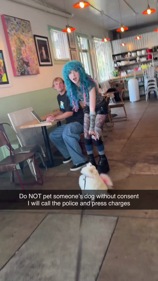 Do NOT pet someone’s dog without consent