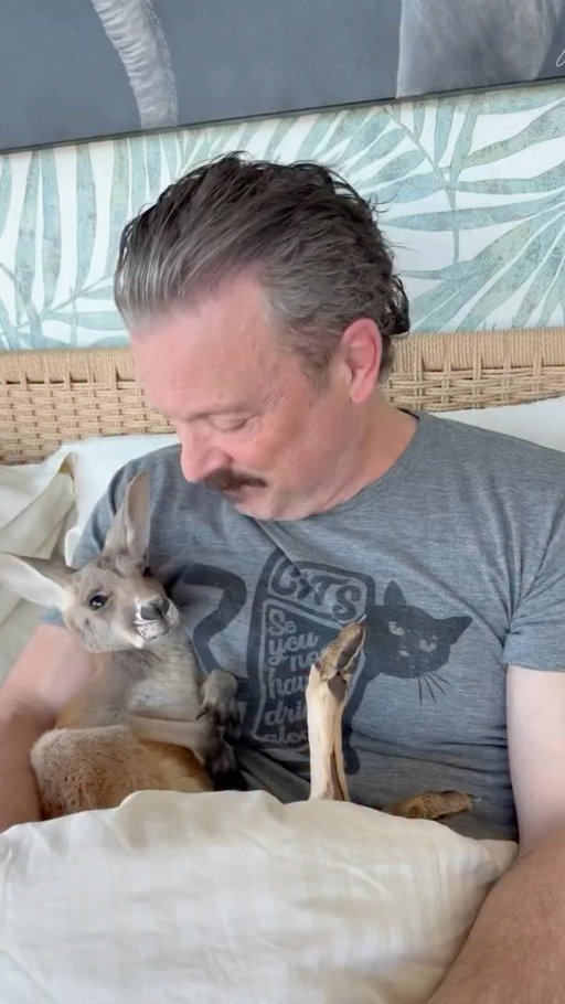 Holding a baby kangaroo and feeding giraffes all in one day... what could be better?!

#babykangaroo #giraffe #kangarooreels #giraffefeeding #cuteanimals