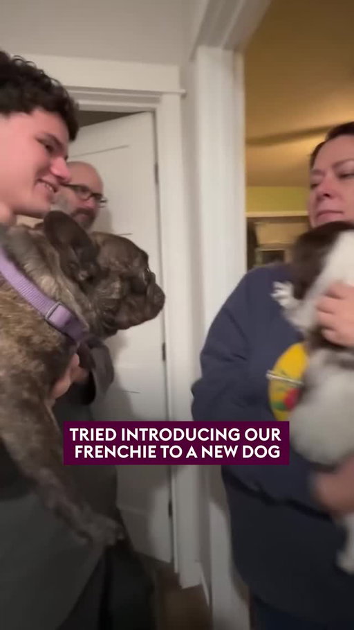 Why is this us at the most minor inconvenience 🤣👏⁠ ⁠ ⁠
⁠
📹️: MUSTI_DUSTY⁠
⁠