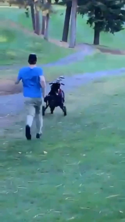 Run Jerry, run!!

@chilledtequila @509trippysquad