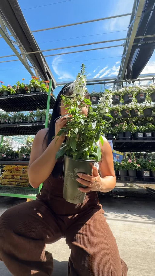 love wandering the garden center at Lowe’s this time of year always leave with way too many plants and a few @scottslawn things too 😅👩🏻‍🌾🪏🪴 #garden #ad #spring #lawn
