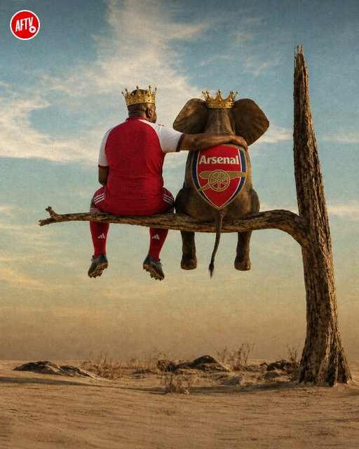 The elephant and the Don stay on top! 🏆👑

📷 @apetelligence