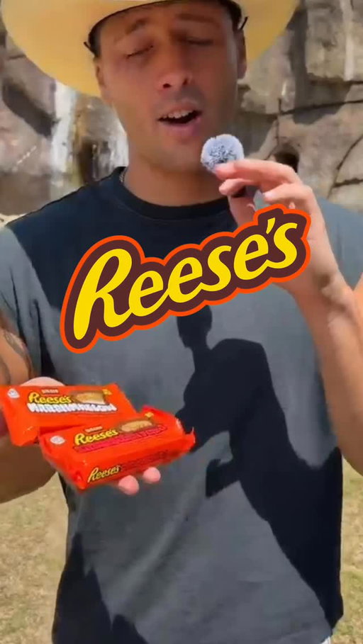 Respectfully, your lunch needs help. Consider it handled, with REESE’S here to bring back the excitement and nostalgia with limited-edition Marshmallow and Strawberry PB&J Cups. @reeses #ReesesPartner