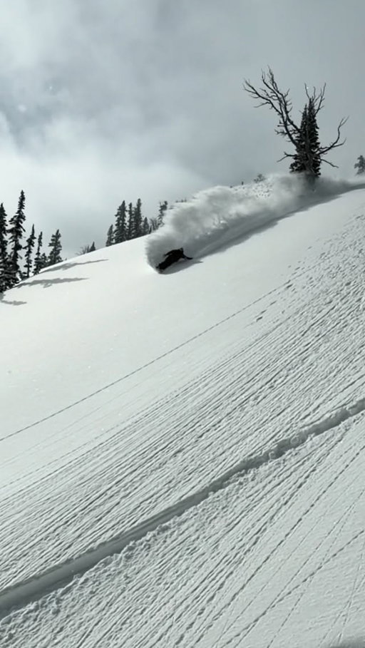 Sometimes the best days boardin you don’t even leave the ground 🤙