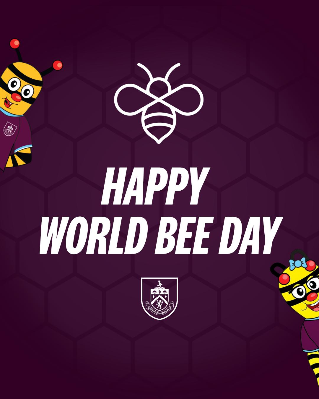 Bertie, Bella and Burnley Football Club wish you a Happy World Bee Day 🐝