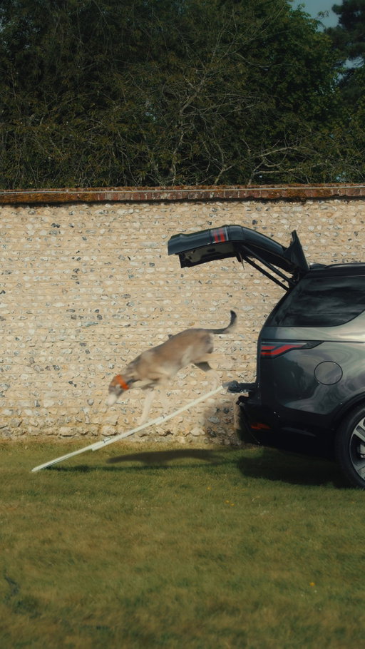 Plenty of room for every dog to make an entrance.
 
#Discovery
 
—
 
Model shown is Discovery with optional features and accessories. Availability/specification vary by market, check with your local retailer. Animal welfare maintained at all times.