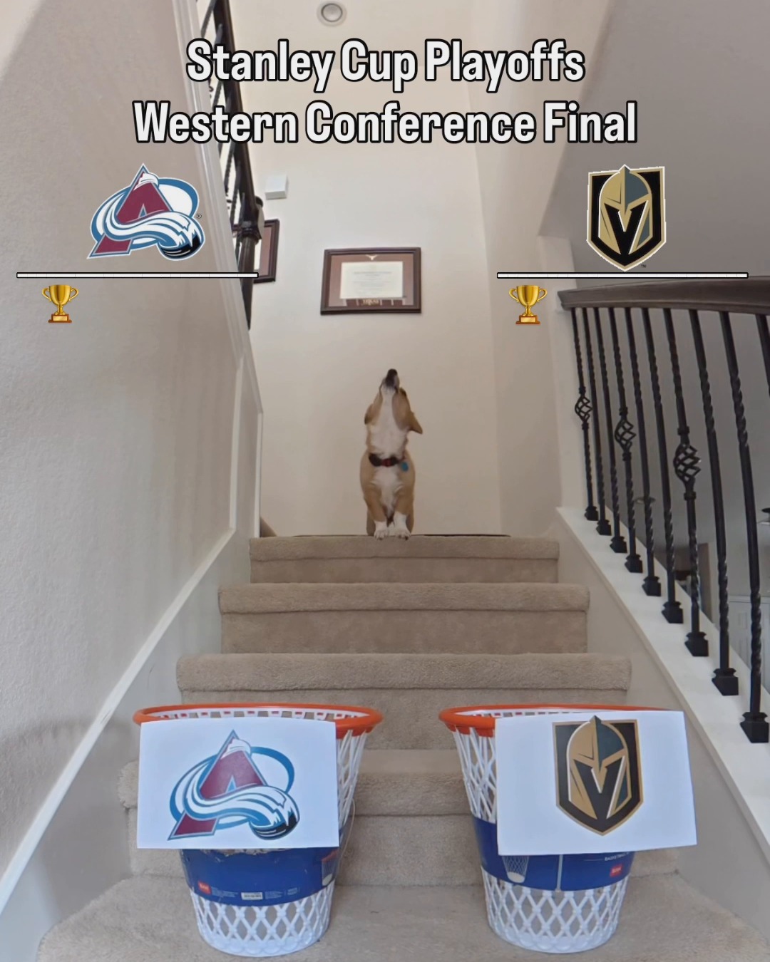 Air Corgi, but make it Western Conference Final 🏀 #StanleyCup 

📺: @vegasgoldenknights vs. @coloradoavalanche Game 1 at 8p ET on @espn, @sportsnet, and @tvasports