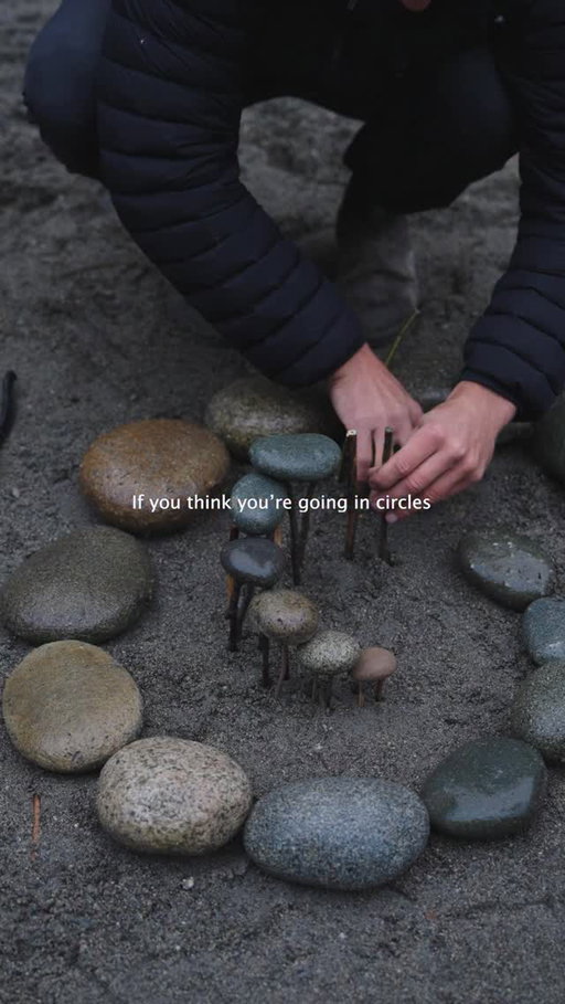 Perspective