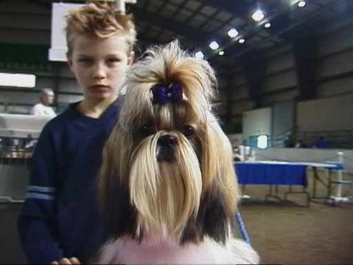 Fun fact: I was a junior dog handling champion. 
🎤🫳