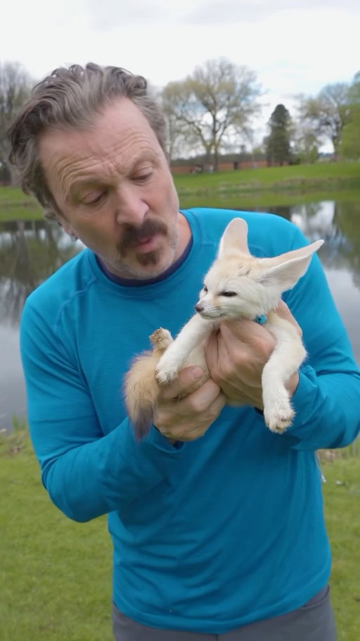 Kissing the smallest canine on the planet!

#fennecfox #foxreels #animalreels #animalfacts #cutewildlife