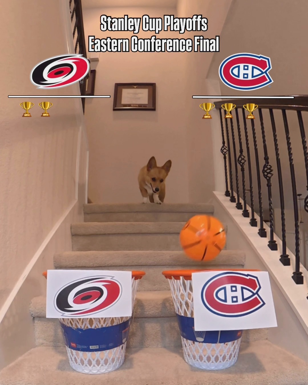 Air Corgi predicts a pretty close series for the Eastern Conference Final... 🤭 #StanleyCup 

📺: @canadiensmtl vs. @canes Game 1 TONIGHT on @nhlontnt, @sportsnet, and @tvasports