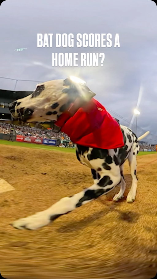 Babe wake up, new Chief angle dropped 

#firefighters #bananaball #dalmationsofinstagram #homeruns #360cam
