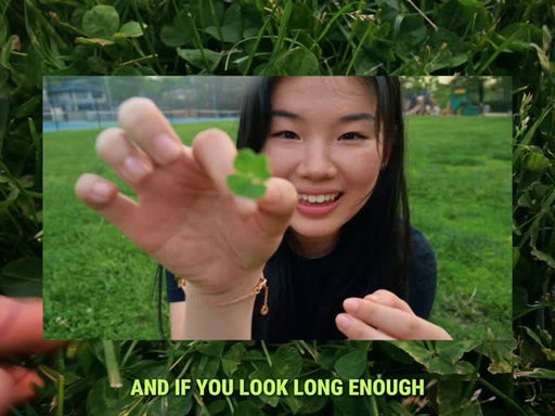 this isn’t about four leaf clovers