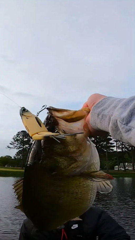 Yall have seen the clip but yall haven’t seen the fight yet‼️

•
•

#fishing #bassfishing #largemouthbass #glidebait #swimbait