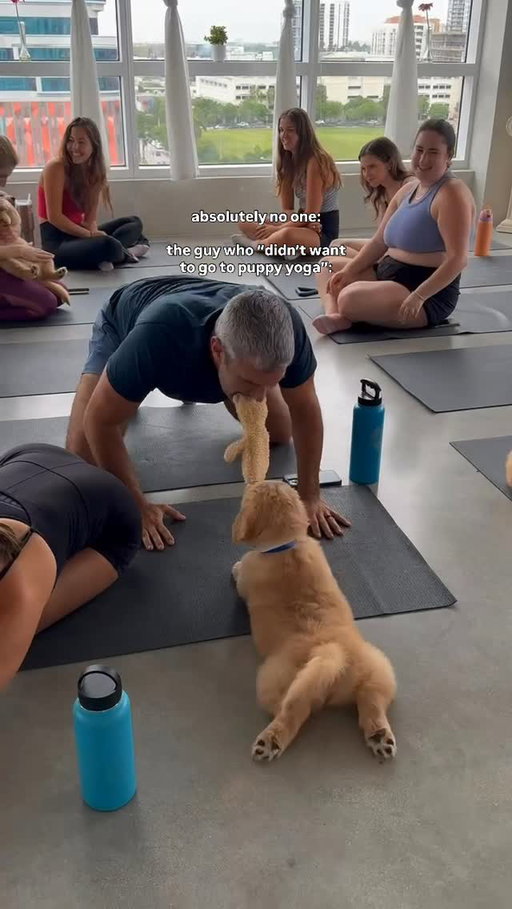 Like if you think he should come back next week 🤭

During our Summer Serotonin Sale, you can get 50% OFF your first month of Sphere Membership and come back every week for more puppy love 💖🐾 

Link in bio to shop before the sale is over!