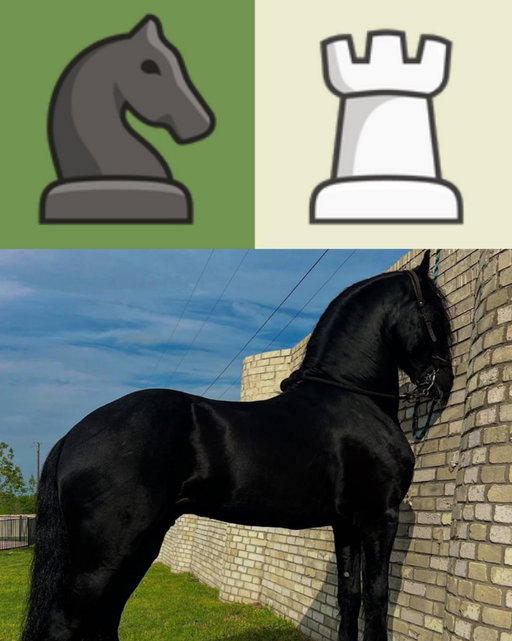 chess imitates life