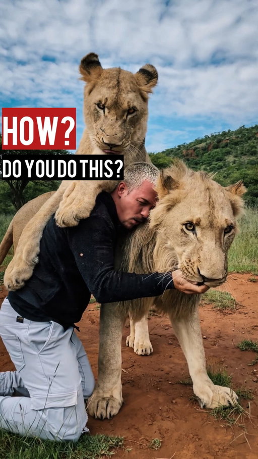 How well do YOU understand the ones arround You🤔❓Animals & Humans⁉️👀
•
Comment honestly🙏🏼 below👇🏼 and Tag someone that you believe you truly understand.😌
•
#deanschneider #hakunamipaka #wildanimals