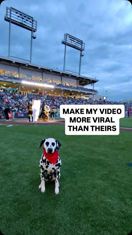 What’s going on in the background? 

#dalmatian #dogsofinstagram #batdog #goodestboy