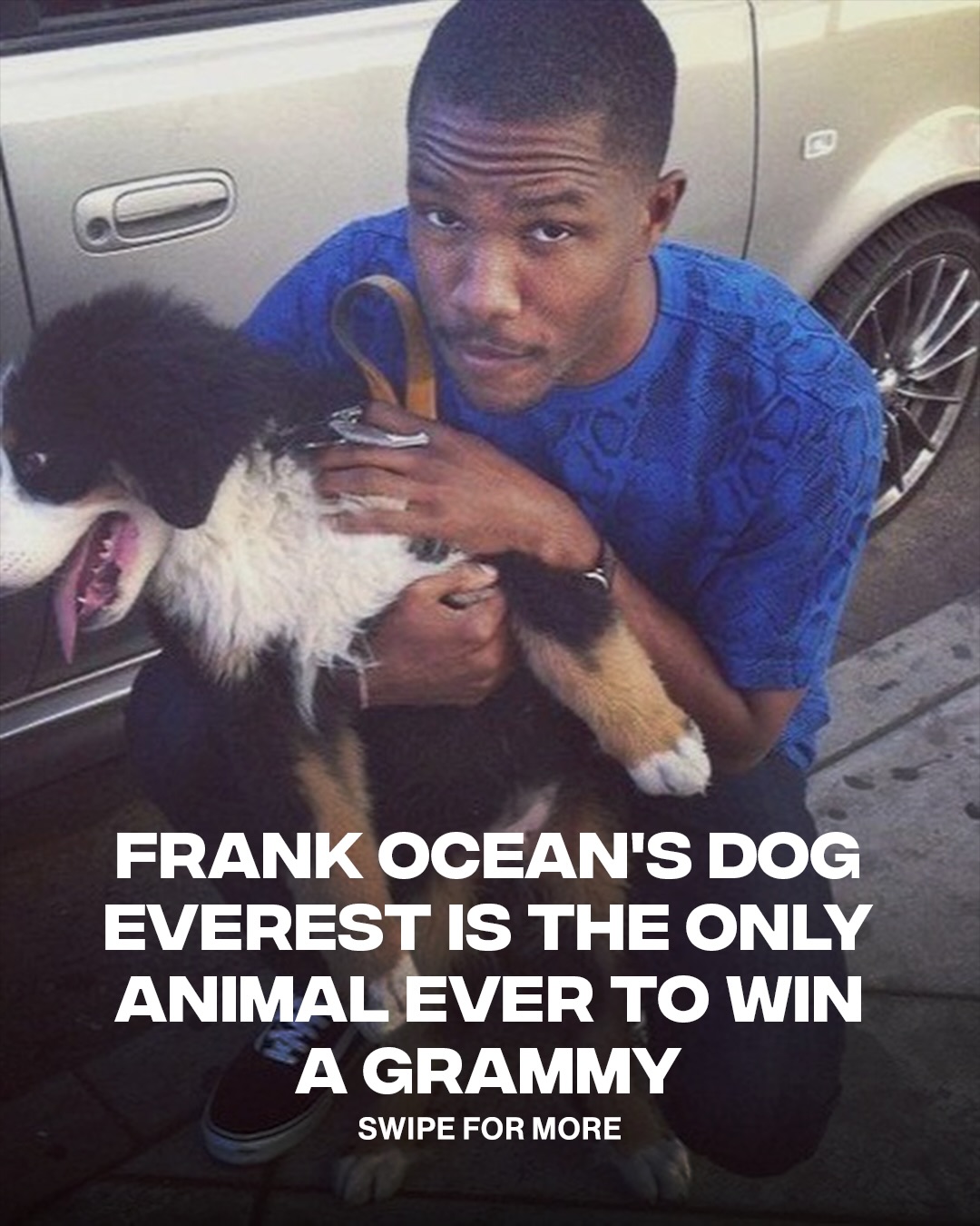 Frank Ocean’s dog Everest is the only animal ever to win a Grammy. Frank Ocean credited his dog as an executive producer on “Channel Orange” 🏆

Everest passed away in 2017. RIP Everest 🖤

📸: @gettyimages
