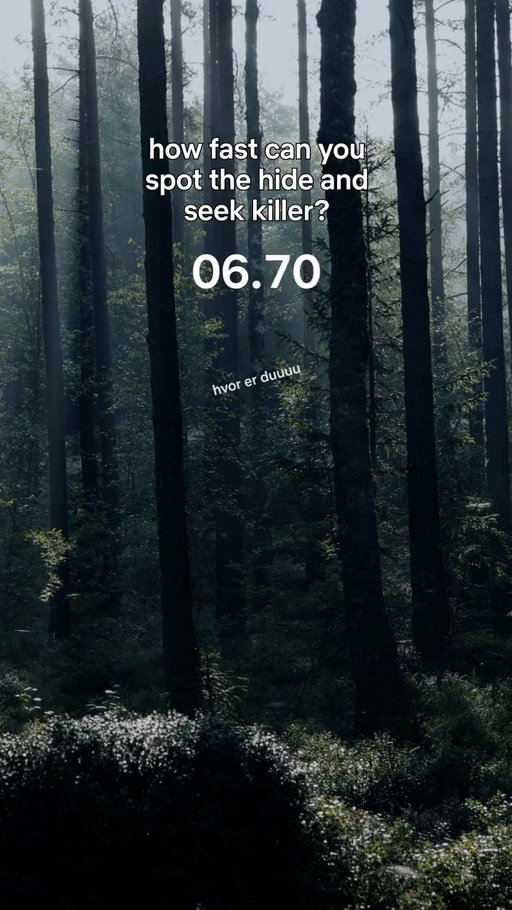 spot the murderer... or else 🔪

📺 The Chestnut Man: Hide and Seek